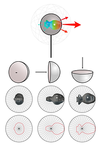 Diagram of a directional antenna